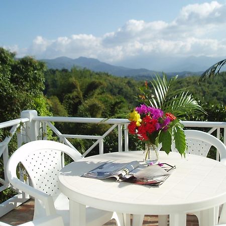 Tranquility Villa Port Antonio Kültér fotó